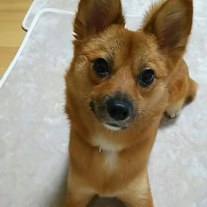 99590c83 913b 4d54 80b0 8e42e2edb7cd