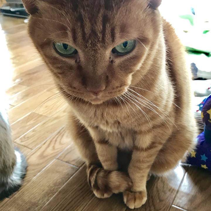 99591d70 2fa1 4d16 9e12 1d37f6c63cc0