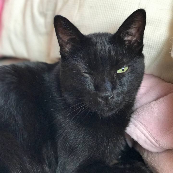 9959dc4d 670a 43f9 8f96 574851559785