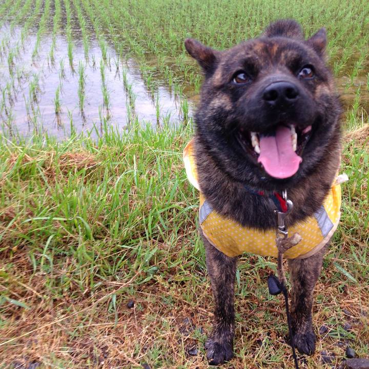 995af9cf 0376 4fdd afbd 7e3313b6ac72