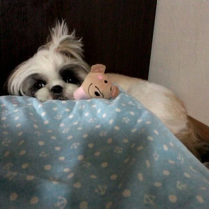 995b7147 29da 41f1 ac1b 96681e249e48