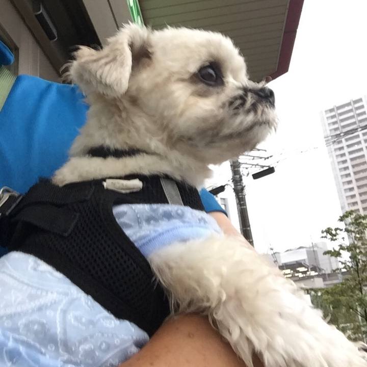 995c40dc f558 4c64 9e0b 986b0ac0e50c