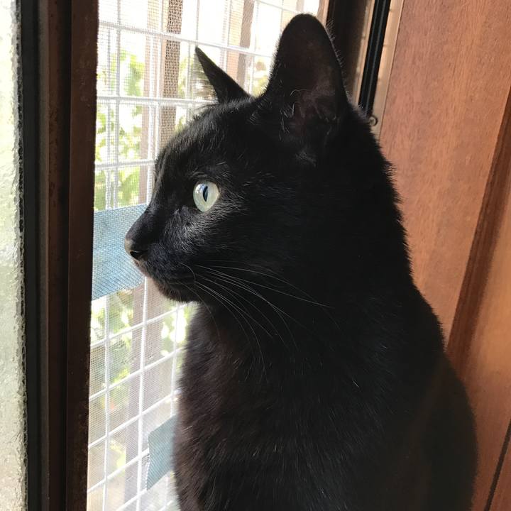 995cd32b 2ef4 42f5 adf6 17407718d417