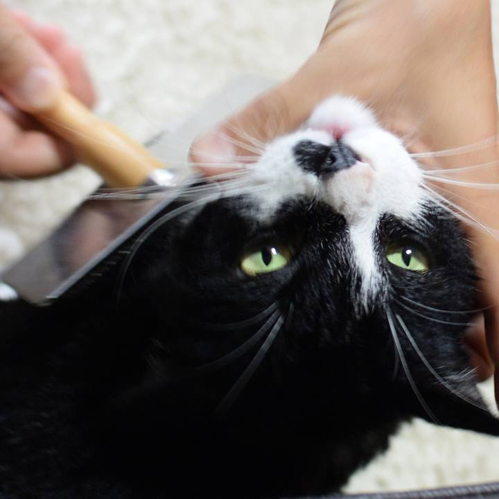 995d2a25 6b5f 4bf6 ad97 7d869c24f54c