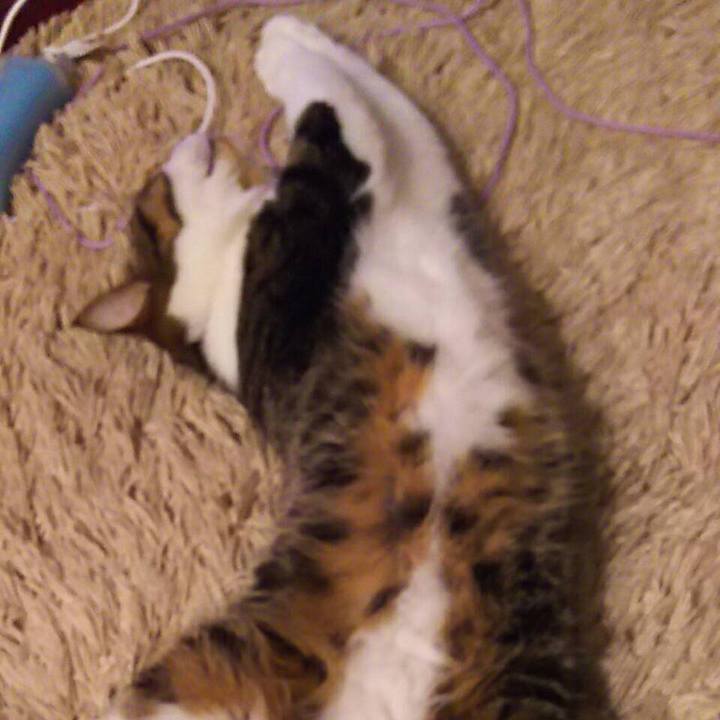 995d70d2 98ff 4152 a2a3 fe89e3100b43