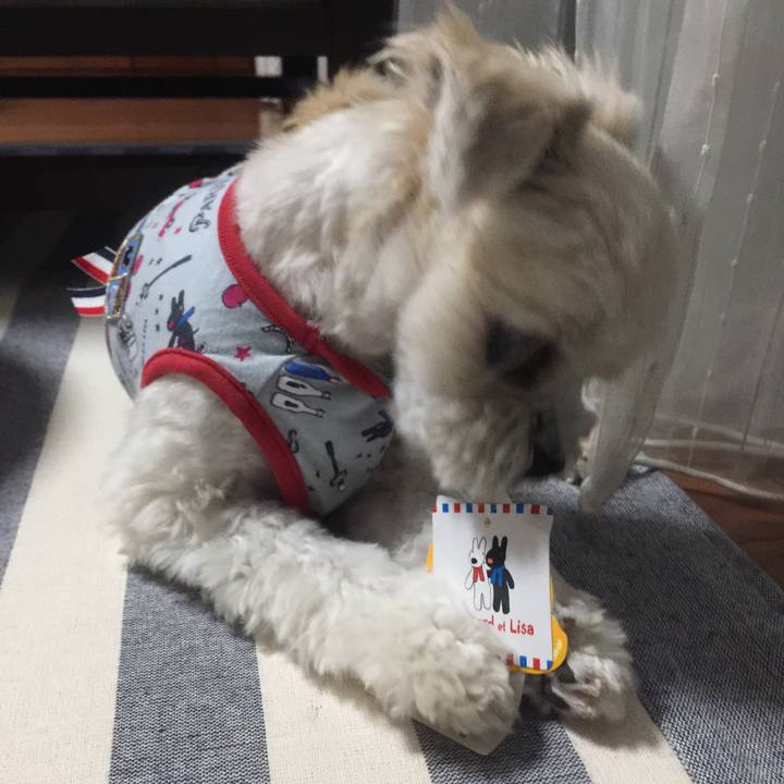 995f4718 60ba 4140 a09a b1d1c81681cb