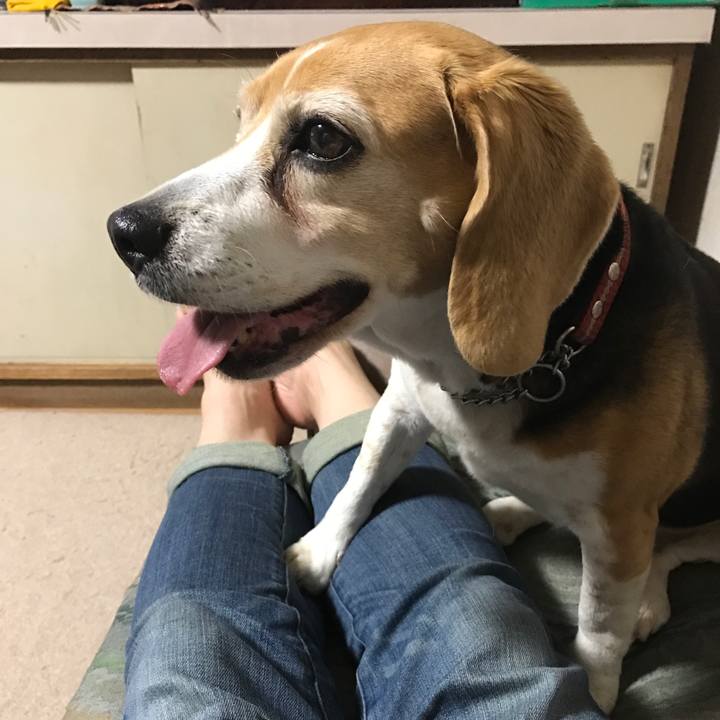 99604294 cf0f 4ed7 b848 9d7aac82aba1