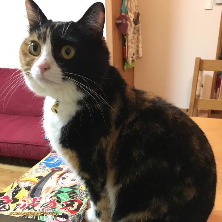 9960985c a692 4a65 92dc 57177e7bc830