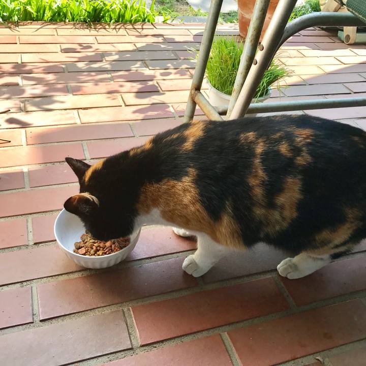 9961958e 1e34 49fa 91b8 7ffdbe1e8c8c