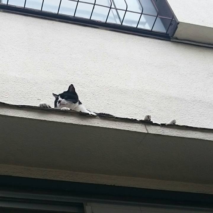 9961e803 bd7b 4d06 ac84 de9910ca80df