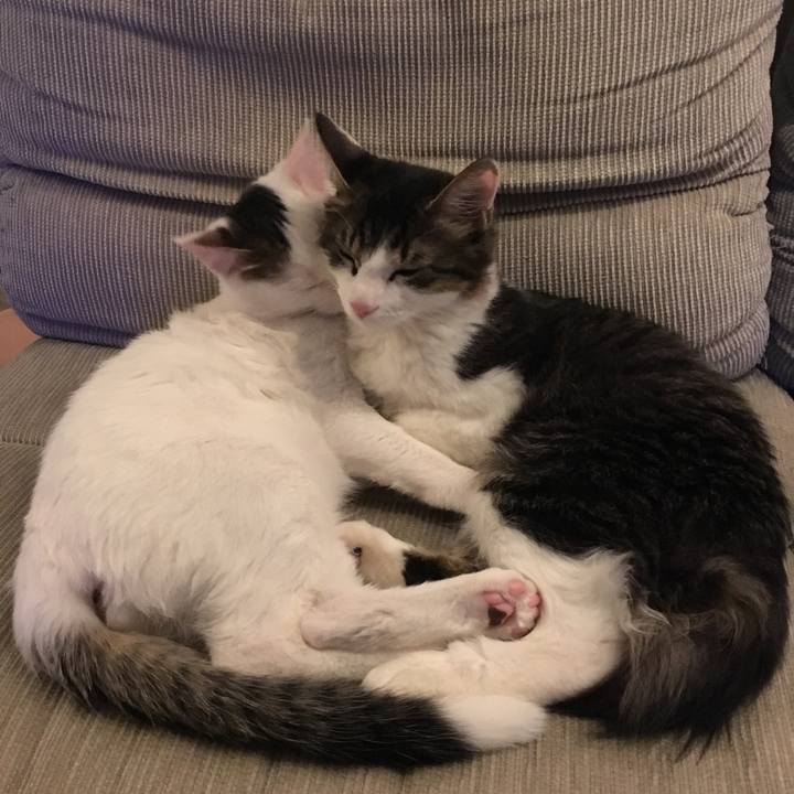 9962038b ee18 49a1 a823 5ab171765624