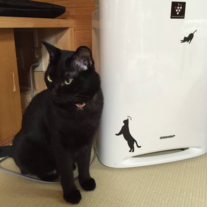 99625826 4015 4a8a 9921 23e30a10acf3