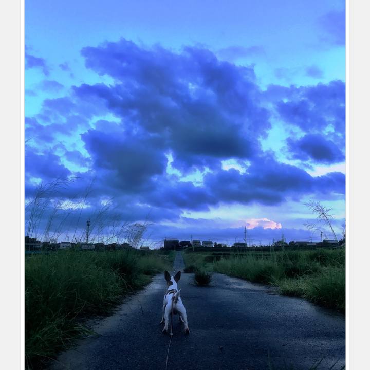 9962a47b 1e05 4df5 a363 a0e014063f91