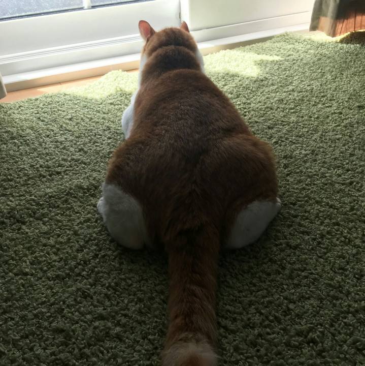 9962b019 d79b 4a46 a8c1 e8c06d5a7109