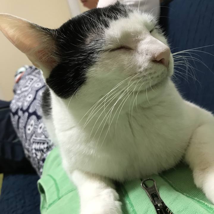 9962cfa8 9c29 4cf8 9b9d aa45c0b72d6f