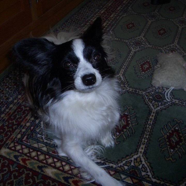 99635a15 4051 4ac7 877d f98307325b9a