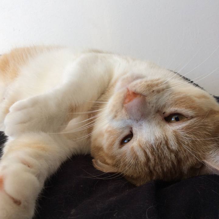 9963bca9 a454 4d5d 8a14 8076e8a17ed2