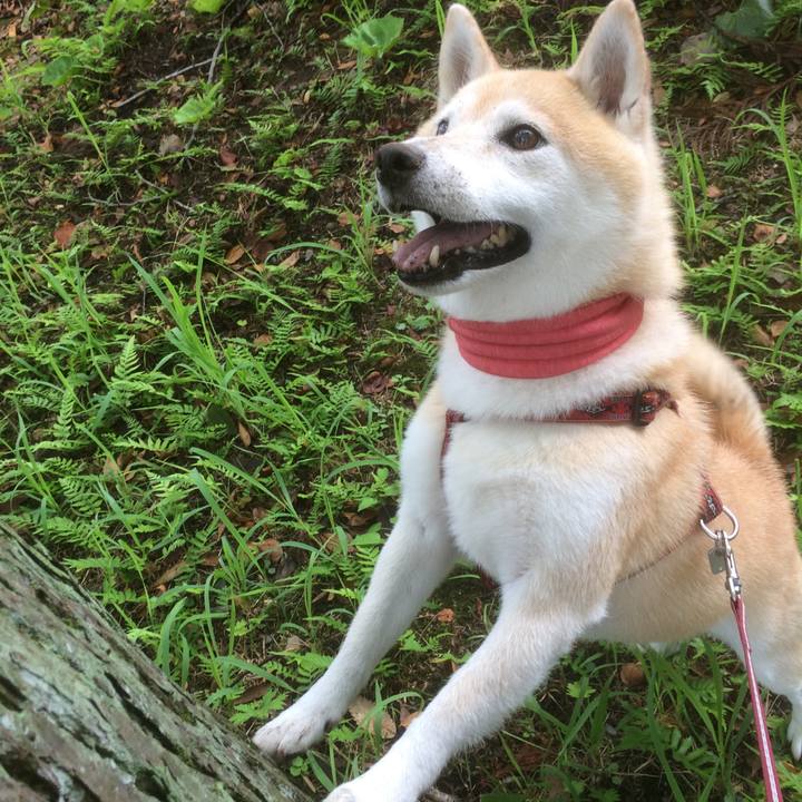 9964aeca 45c2 42d1 b65c e3472c2a2957