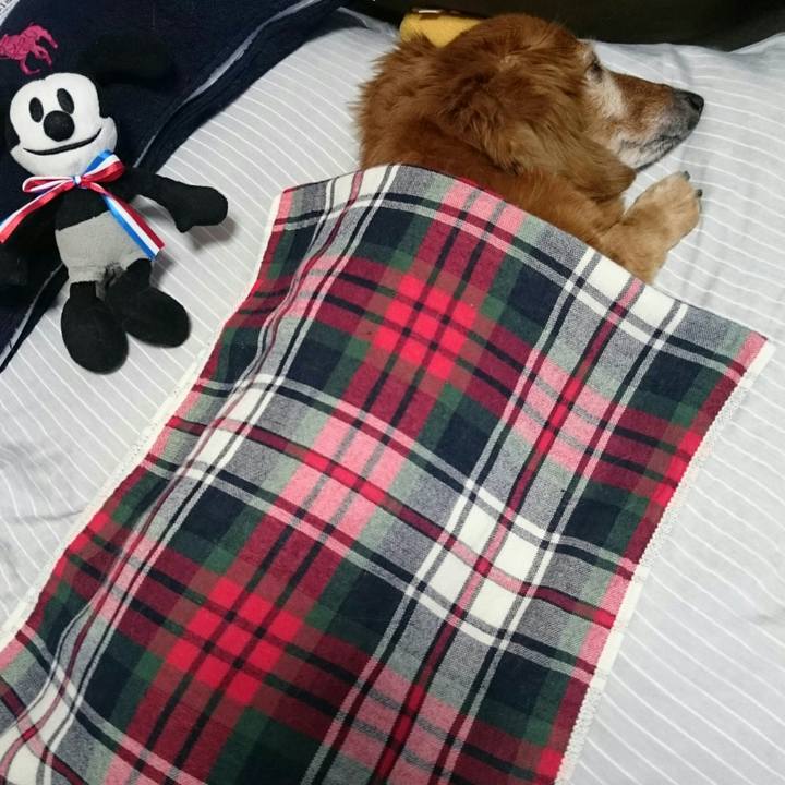 9964cbe6 2a10 4867 a60e 3bd6fe6c649a