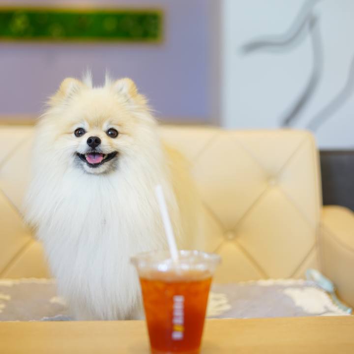 9964ccbe 6b54 43dd b0e2 888dc05202dd