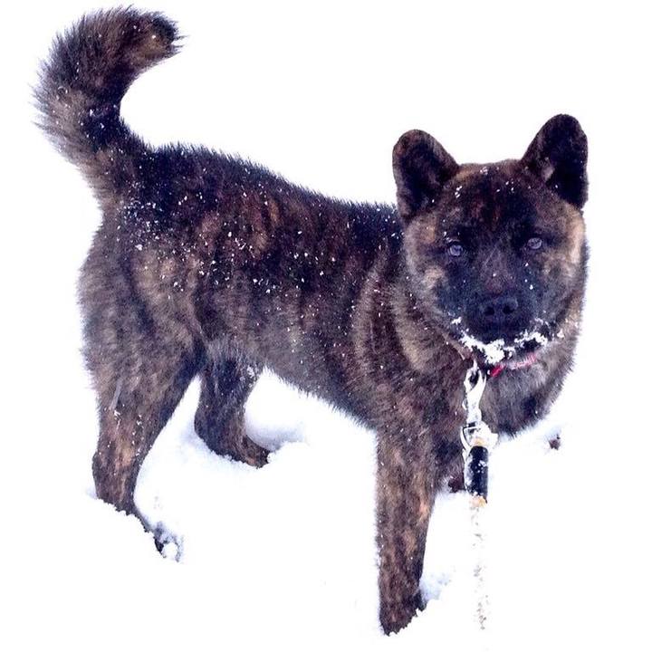 99656b80 b8e2 4f02 ab01 e85430733e67