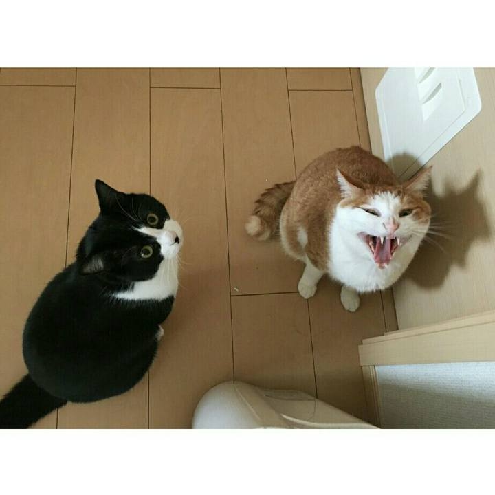 9965eaf3 dc5b 4f39 9366 a64140adab5b