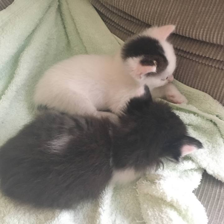 99669d28 2a88 4c31 b76b fd5b66eaa5ee