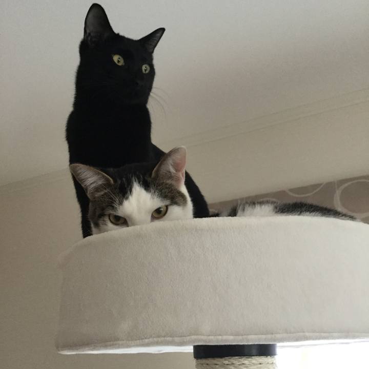 9966f495 e94d 49bf b0e7 9f3ac75a42d5