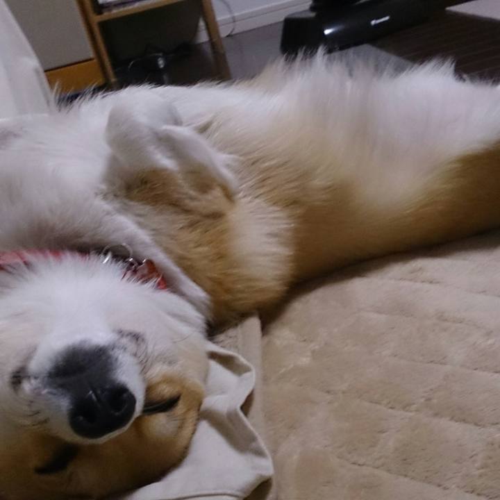 99674b10 98ad 4090 8eb7 58d6cabc7b80