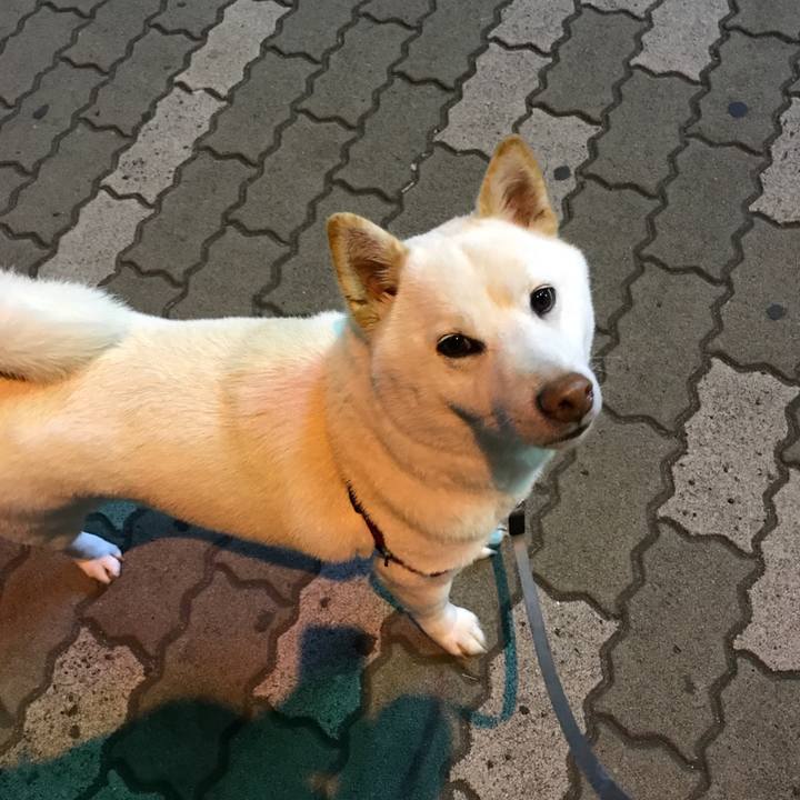 99674e52 e49d 4ef5 994b 7266ee3232ca