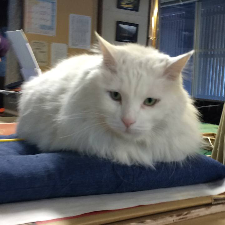 99675225 2fe3 45aa 93be 8a114f52a034