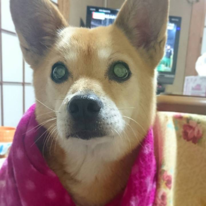 9967607b 4619 47a3 bf3b 7662f13c99b2