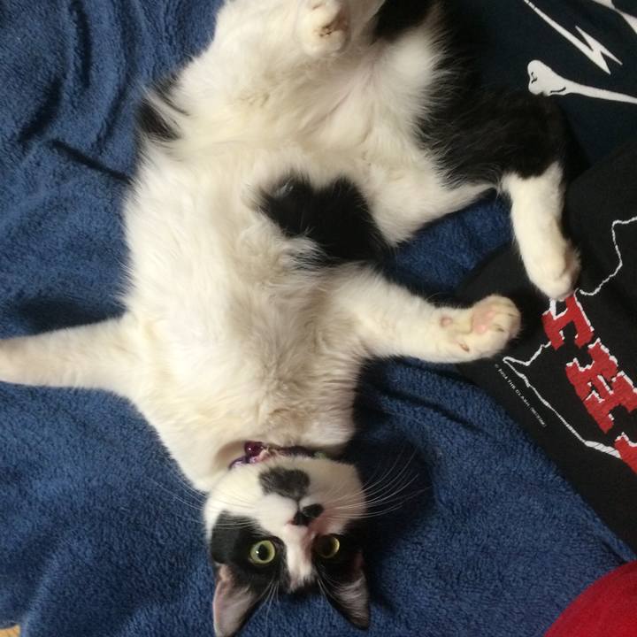 99677add 0997 4306 9a88 3097c338c4a2