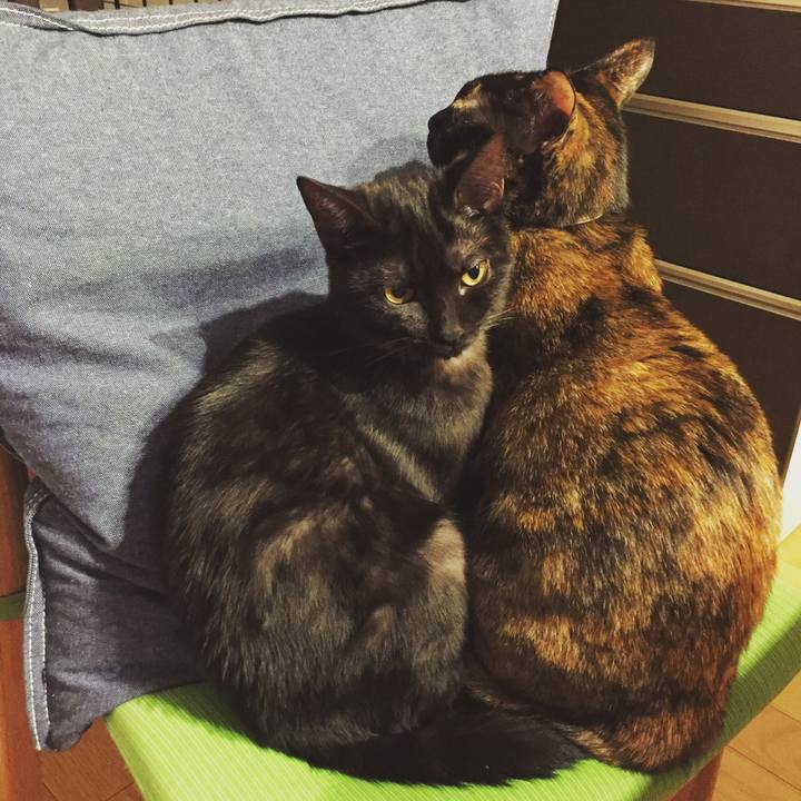 9968b4eb ee5a 42cb b7ff b5672e00b187