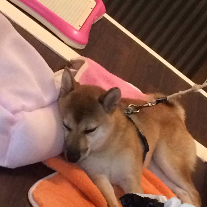 99692174 fb98 4bb7 b65c f8e7f4c79477