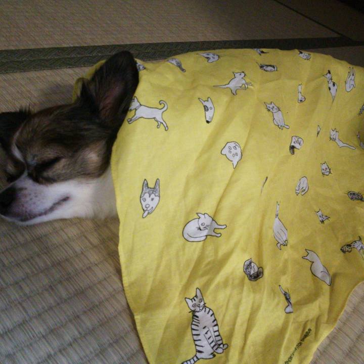 99698ed1 cd89 4360 8b45 f2cb0effe1d8