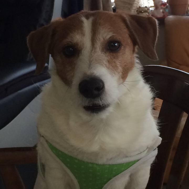 9969f8c5 e40c 40af a600 7306173ea4dc