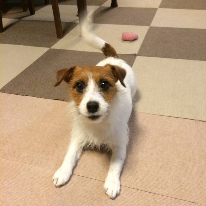 996a23f8 98e5 45c0 9cb8 811e8762ec8d