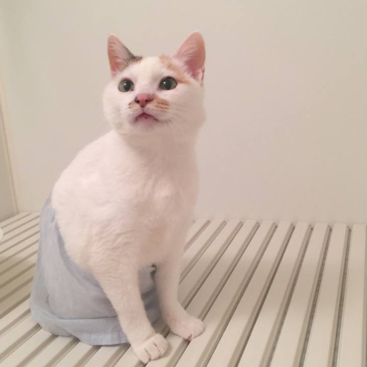 996a3926 fb44 47dc a359 444347203e42