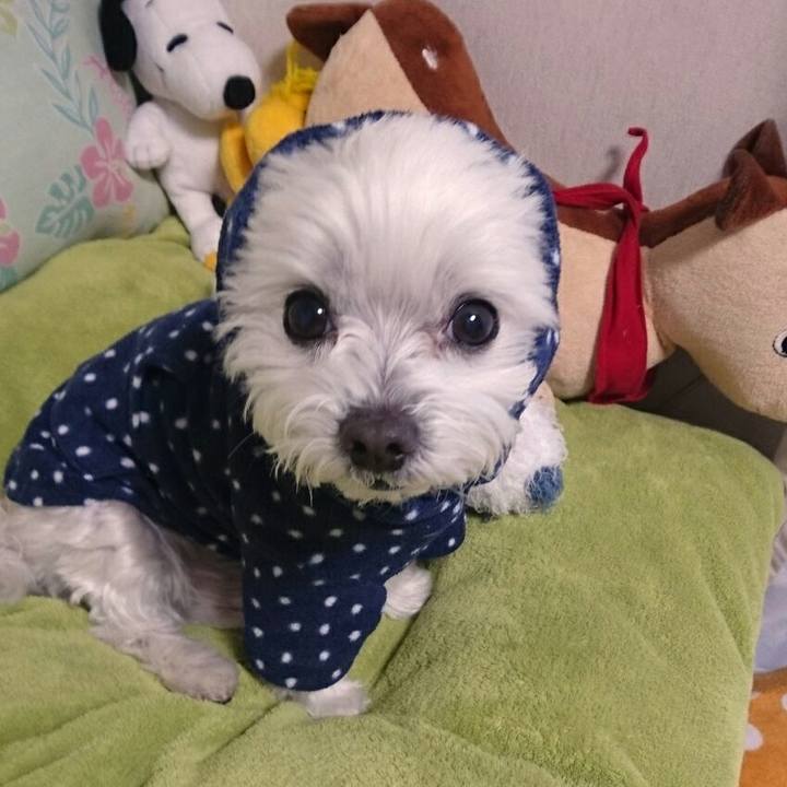 996a3af1 87e3 4b58 ac84 198c9c684b17