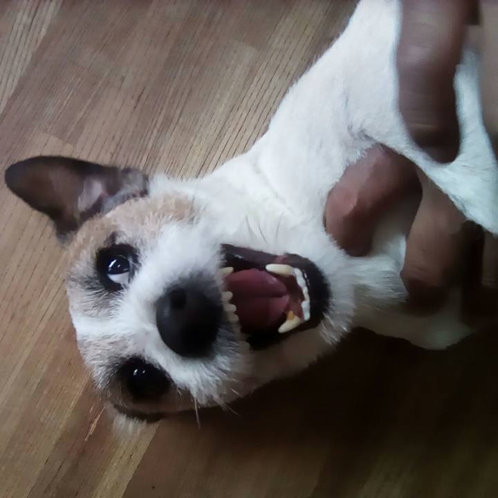 996b3d44 6fb3 4a1a 90dd b20b9114c843