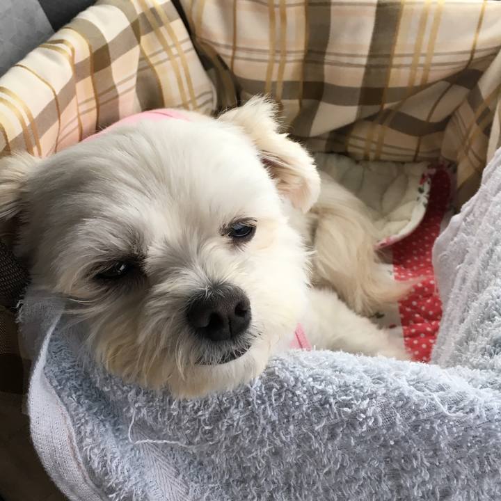 996b7de8 9c15 482f b4c5 75766ecc5c92