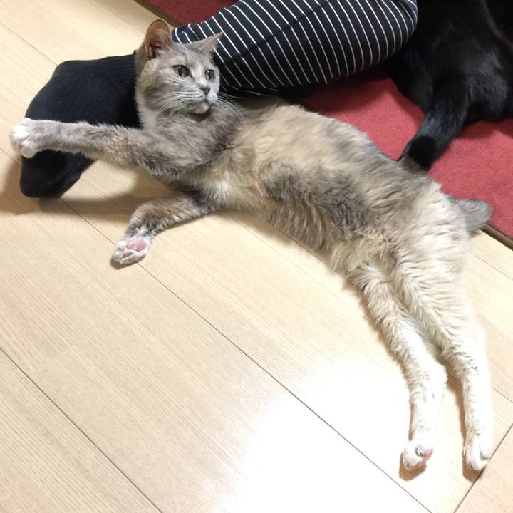 996ba32e 02bd 4602 97f0 4ecb3c7d115c