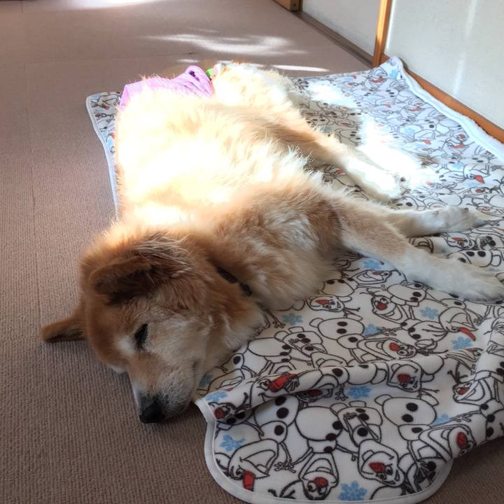 996c0ae4 f305 4290 a49a 5544f126d105