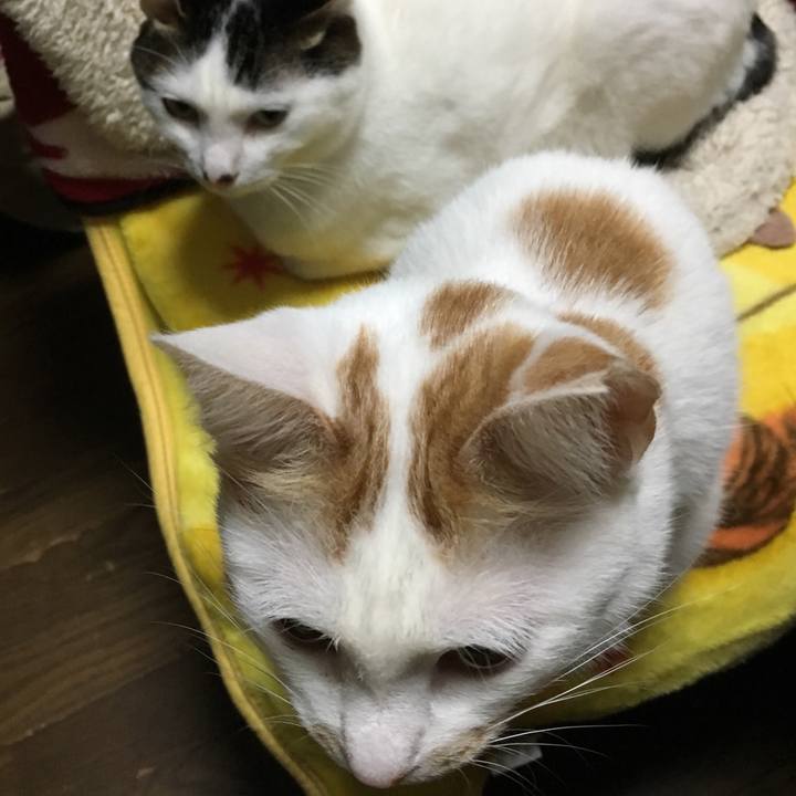 996c1f36 7e12 49e3 9bb1 9f04e0f2e853