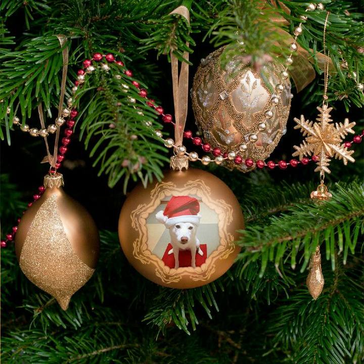 996c2bbf fef7 4203 a674 2c9e9d290c31