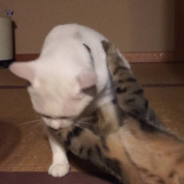 996c37e6 6753 4f1f 9cc6 992b1479bc5c