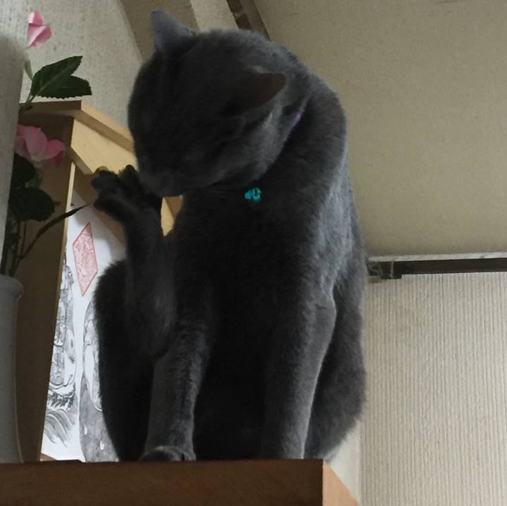 996c534e c921 4749 a386 fee1569ee50c