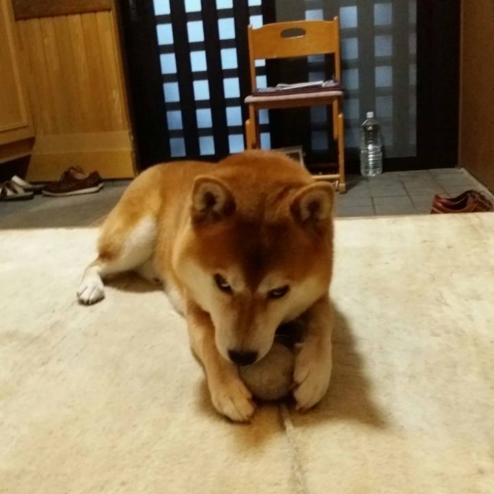 996c942a 1090 4ac9 9e77 116dfaaaa685