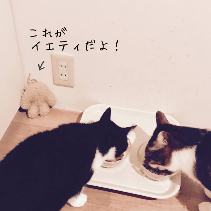 996d00a1 cae5 4544 bbfa 75718305fb2b